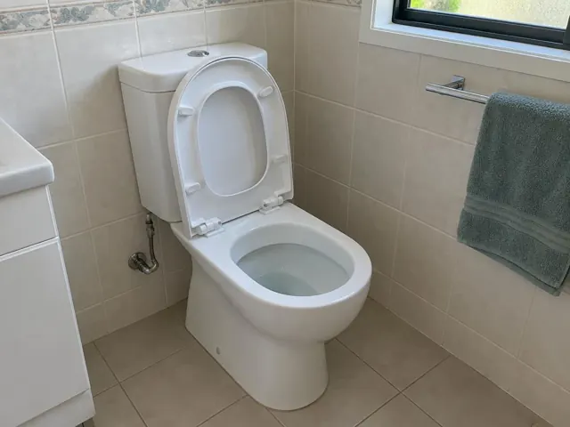 Clean white toilet in a tiled bathroom beside a window and towel rail in Hurstville